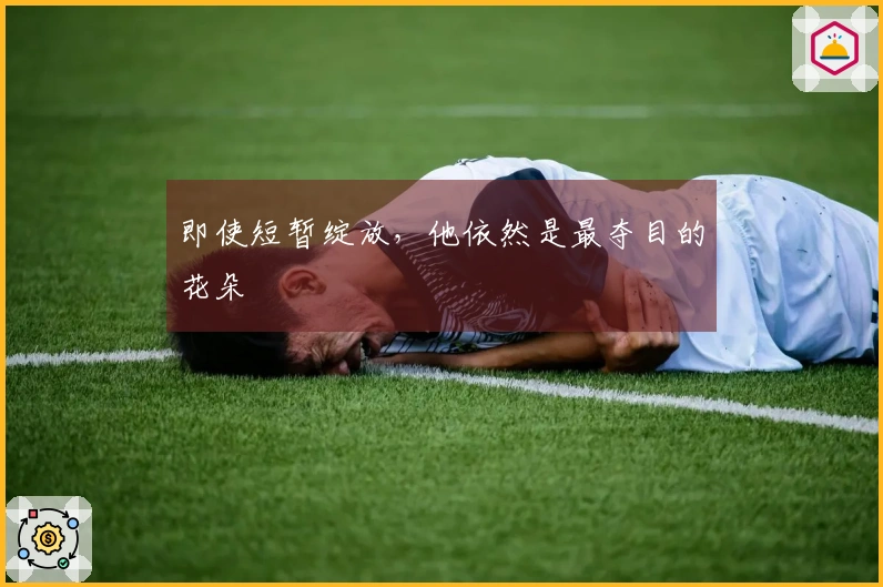 即使短暂绽放，他依然是最夺目的花朵