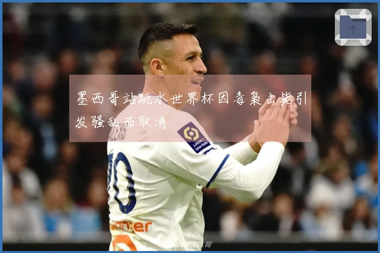 墨西哥站跳水世界杯因毒枭击毙引发骚乱而取消