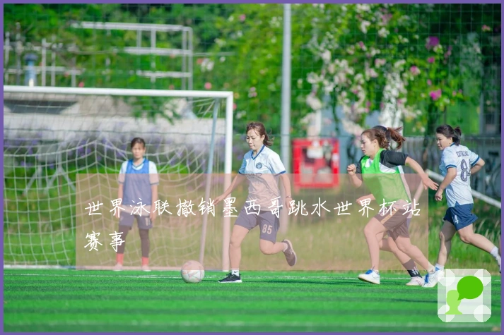 世界泳联撤销墨西哥跳水世界杯站赛事