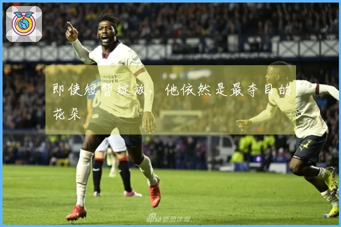 即使短暂绽放，他依然是最夺目的花朵